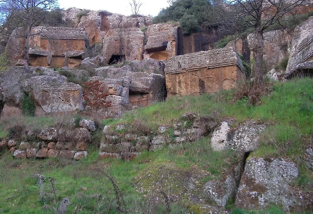 Forum Cassii-1